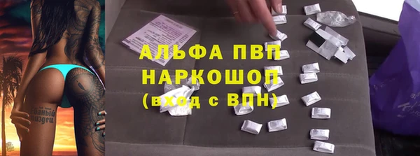 jwh Пересвет