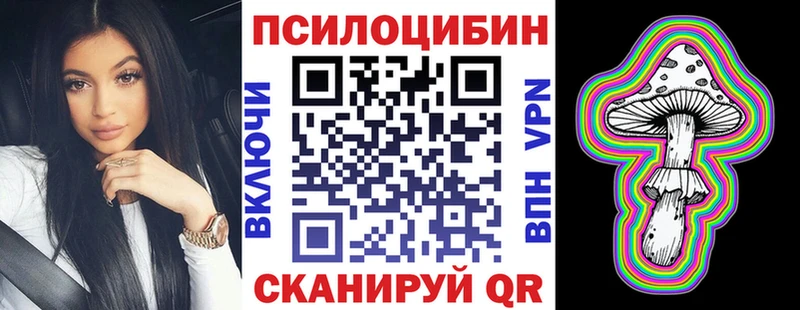Галлюциногенные грибы Psilocybe  Абдулино 